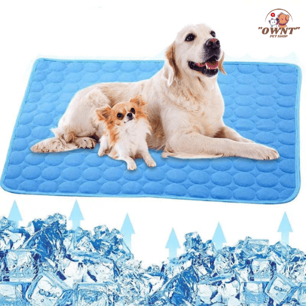 Lindo Tapete Gelado para Cachorro e gato - Lançamento 2024 - Arte Morumbi